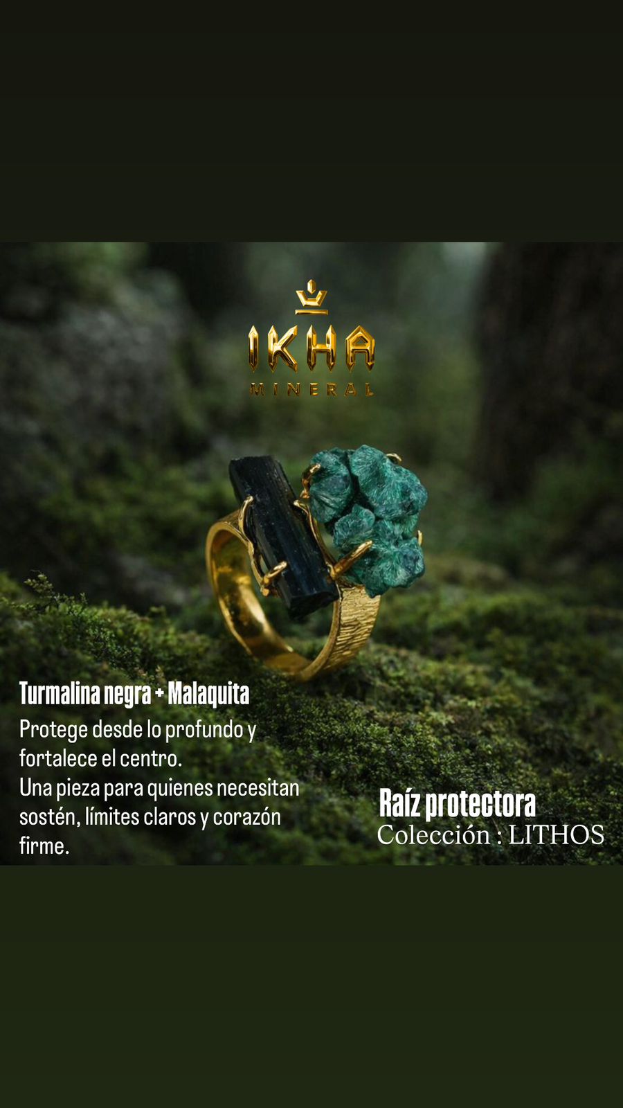 Raiz Protectora