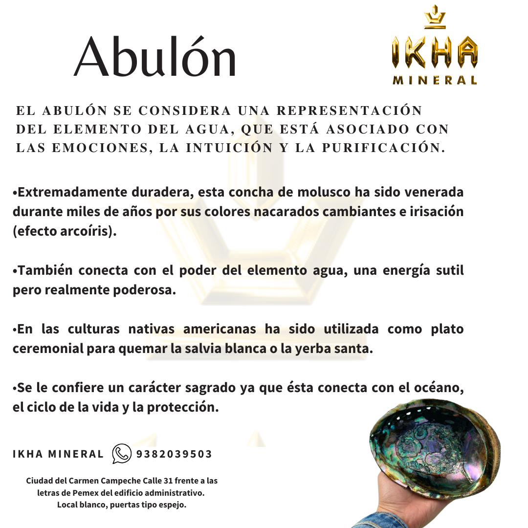 Concha de Abulón